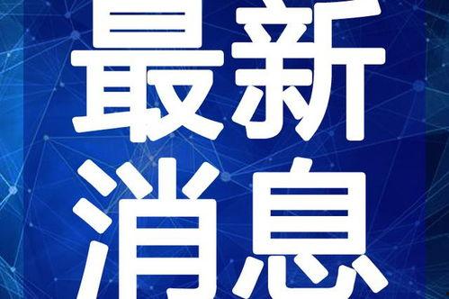 开封头条小张爆料视频最新,小张最新爆料视频揭秘惊人内幕!